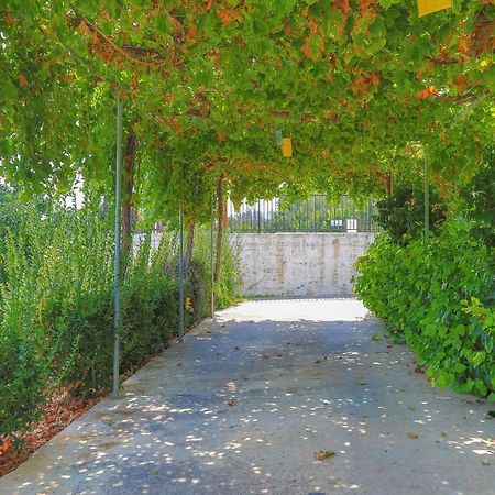 Villa Aphrodite Finiki Polis 外观 照片